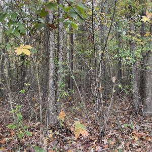 Photo #11 of Rehoboth Road, Victoria, VA 18.2 acres
