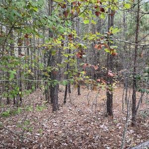 Photo #12 of Rehoboth Road, Victoria, VA 18.2 acres