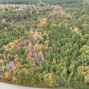 Photo #2 of Rehoboth Road, Victoria, VA 18.2 acres