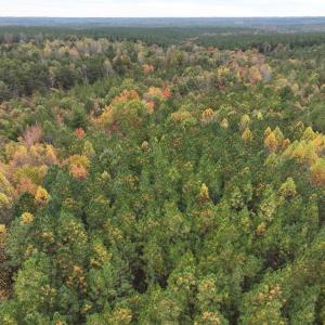 Photo #3 of Rehoboth Road, Victoria, VA 18.2 acres