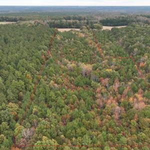 Photo #4 of Rehoboth Road, Victoria, VA 18.2 acres