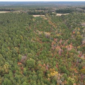 Photo #5 of Rehoboth Road, Victoria, VA 18.2 acres