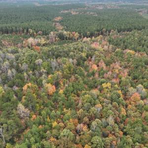 Photo #6 of Rehoboth Road, Victoria, VA 18.2 acres