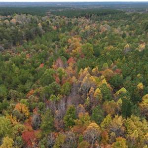 Photo #7 of Rehoboth Road, Victoria, VA 18.2 acres