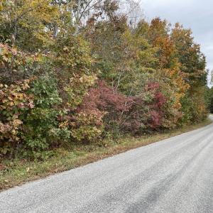 Photo #8 of Rehoboth Road, Victoria, VA 18.2 acres