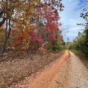 Photo #2 of Chase Trail Lane, Gladstone, VA 23.8 acres