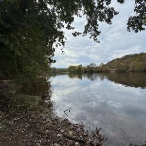 Photo #4 of Chase Trail Lane, Gladstone, VA 23.8 acres