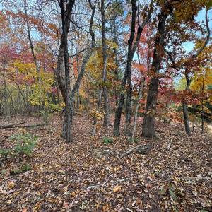 Photo #6 of Chase Trail Lane, Gladstone, VA 23.8 acres