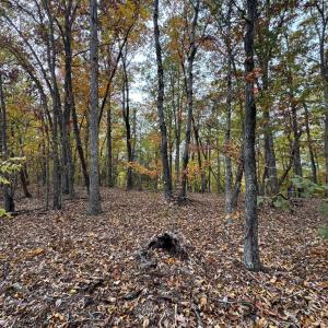 Photo #7 of Chase Trail Lane, Gladstone, VA 23.8 acres