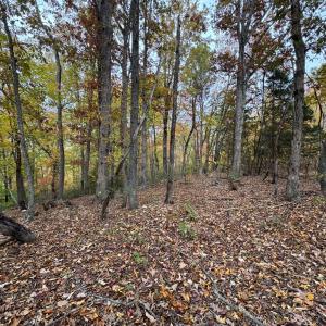 Photo #8 of Chase Trail Lane, Gladstone, VA 23.8 acres