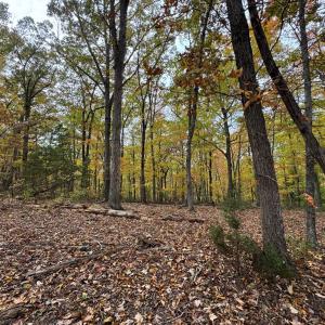 Photo #9 of Chase Trail Lane, Gladstone, VA 23.8 acres
