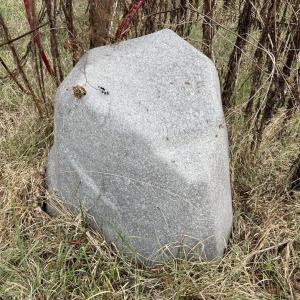 Photo #10 of 249 Union Chapel Road, Buffalo Junction, VA 47.8 acres