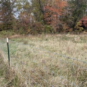 Photo #11 of 249 Union Chapel Road, Buffalo Junction, VA 47.8 acres