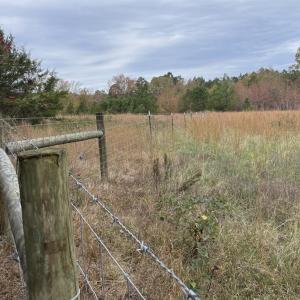 Photo #12 of 249 Union Chapel Road, Buffalo Junction, VA 47.8 acres