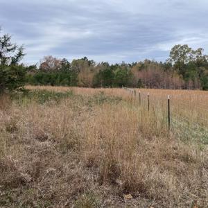 Photo #13 of 249 Union Chapel Road, Buffalo Junction, VA 47.8 acres