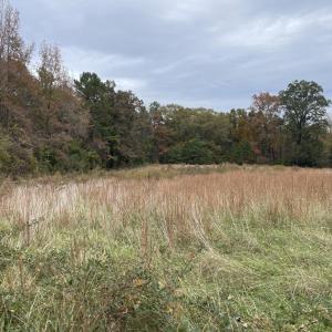 Photo #16 of 249 Union Chapel Road, Buffalo Junction, VA 47.8 acres