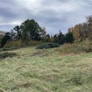 Photo #17 of 249 Union Chapel Road, Buffalo Junction, VA 47.8 acres