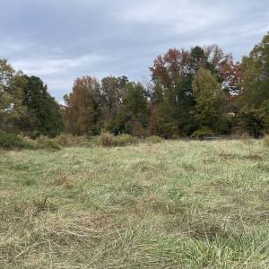 Photo #18 of 249 Union Chapel Road, Buffalo Junction, VA 47.8 acres