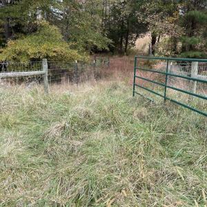 Photo #19 of 249 Union Chapel Road, Buffalo Junction, VA 47.8 acres