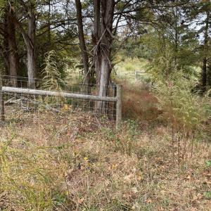 Photo #20 of 249 Union Chapel Road, Buffalo Junction, VA 47.8 acres