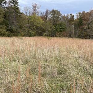 Photo #21 of 249 Union Chapel Road, Buffalo Junction, VA 47.8 acres