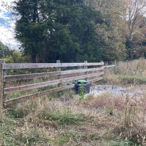 Photo #23 of 249 Union Chapel Road, Buffalo Junction, VA 47.8 acres