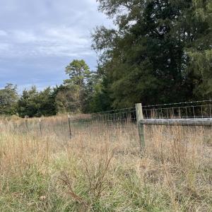 Photo #24 of 249 Union Chapel Road, Buffalo Junction, VA 47.8 acres