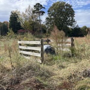 Photo #25 of 249 Union Chapel Road, Buffalo Junction, VA 47.8 acres