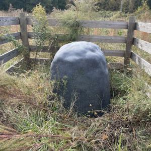 Photo #26 of 249 Union Chapel Road, Buffalo Junction, VA 47.8 acres