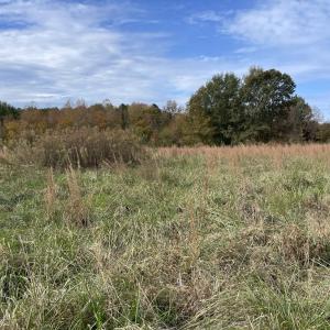 Photo #27 of 249 Union Chapel Road, Buffalo Junction, VA 47.8 acres