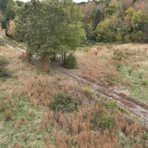 Photo #28 of 249 Union Chapel Road, Buffalo Junction, VA 47.8 acres