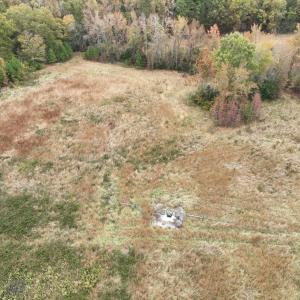 Photo #6 of 249 Union Chapel Road, Buffalo Junction, VA 47.8 acres