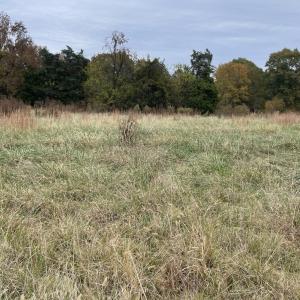 Photo #9 of 249 Union Chapel Road, Buffalo Junction, VA 47.8 acres