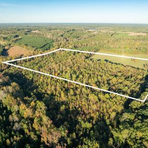 Photo #2 of Mt Carmel, Alton, VA 32.0 acres