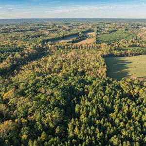 Photo #5 of Mt Carmel, Alton, VA 32.0 acres