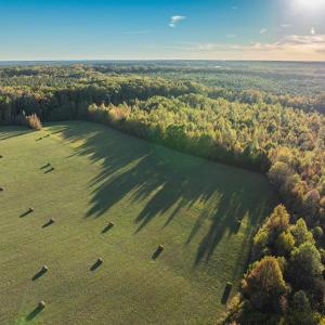 Photo #6 of Mt Carmel, Alton, VA 32.0 acres