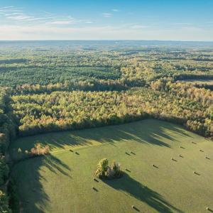 Photo #7 of Mt Carmel, Alton, VA 32.0 acres