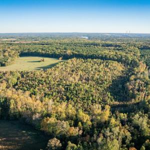 Photo #8 of Mt Carmel, Alton, VA 32.0 acres
