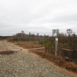 Photo #3 of Stingy Lane, Blackstone, VA 306.0 acres
