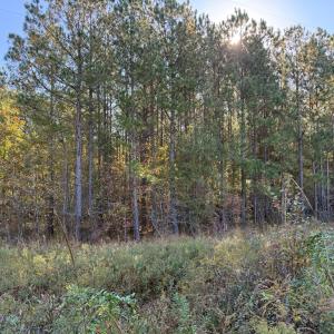 Photo #4 of 612 Richmond Road, Amelia Court House, VA 44.6 acres