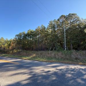 Photo #2 of 612 Richmond Road, Amelia Court House, VA 44.6 acres