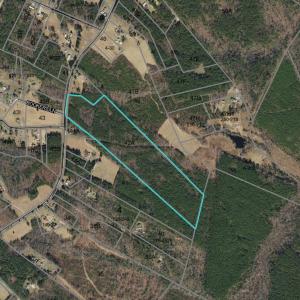 Photo #9 of 612 Richmond Road, Amelia Court House, VA 44.6 acres