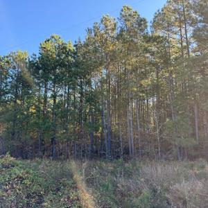 Photo #5 of 612 Richmond Road, Amelia Court House, VA 44.6 acres