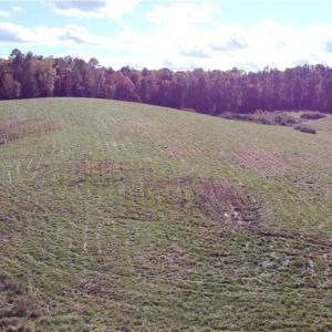 Photo #2 of Fraher Ln, Amelia, VA 8.2 acres