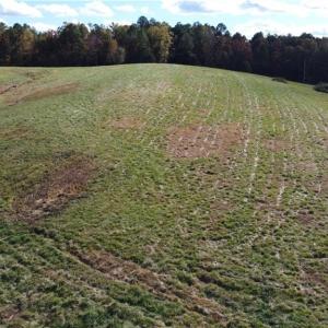Photo #3 of Fraher Ln, Amelia, VA 8.2 acres