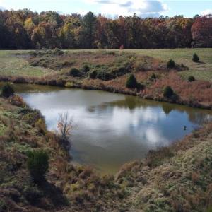 Photo #5 of Fraher Ln, Amelia, VA 8.2 acres