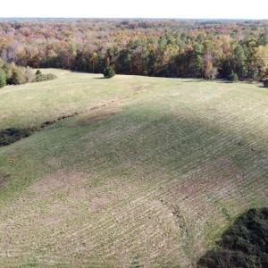 Photo #7 of Fraher Ln, Amelia, VA 8.2 acres