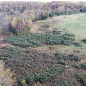 Photo #10 of Fraher Ln, Amelia, VA 19.2 acres