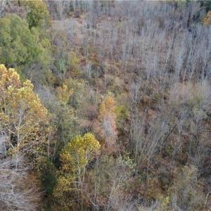 Photo #11 of Fraher Ln, Amelia, VA 19.2 acres