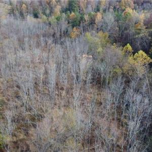 Photo #12 of Fraher Ln, Amelia, VA 19.2 acres